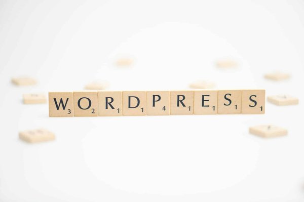 10 conseils pour développer un site wordpress pro avec lws